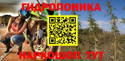 spice Кунгур