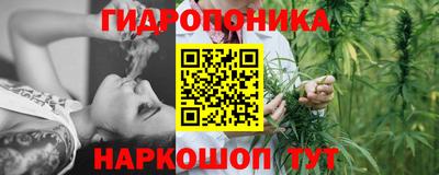 spice Кунгур