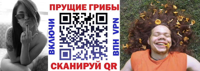 Псилоцибиновые грибы Psilocybine cubensis  где купить наркотик  Зима 
