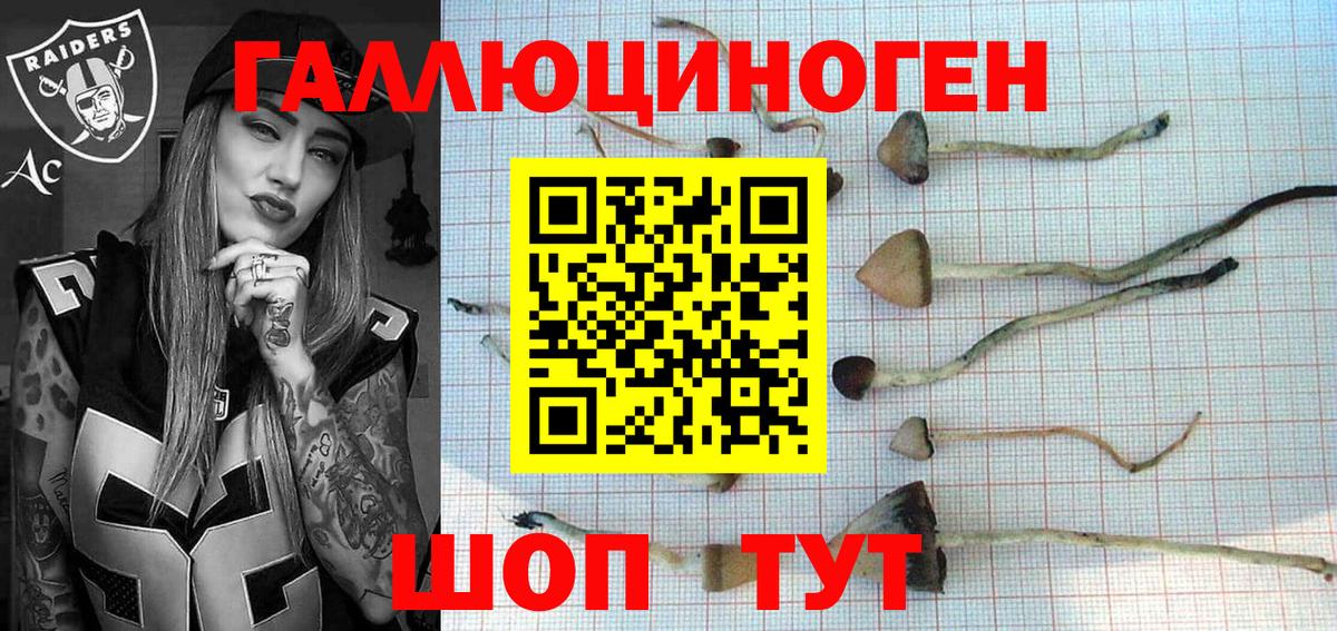 Зима  Псилоцибиновые грибы ЛСД  Вход с VPN 